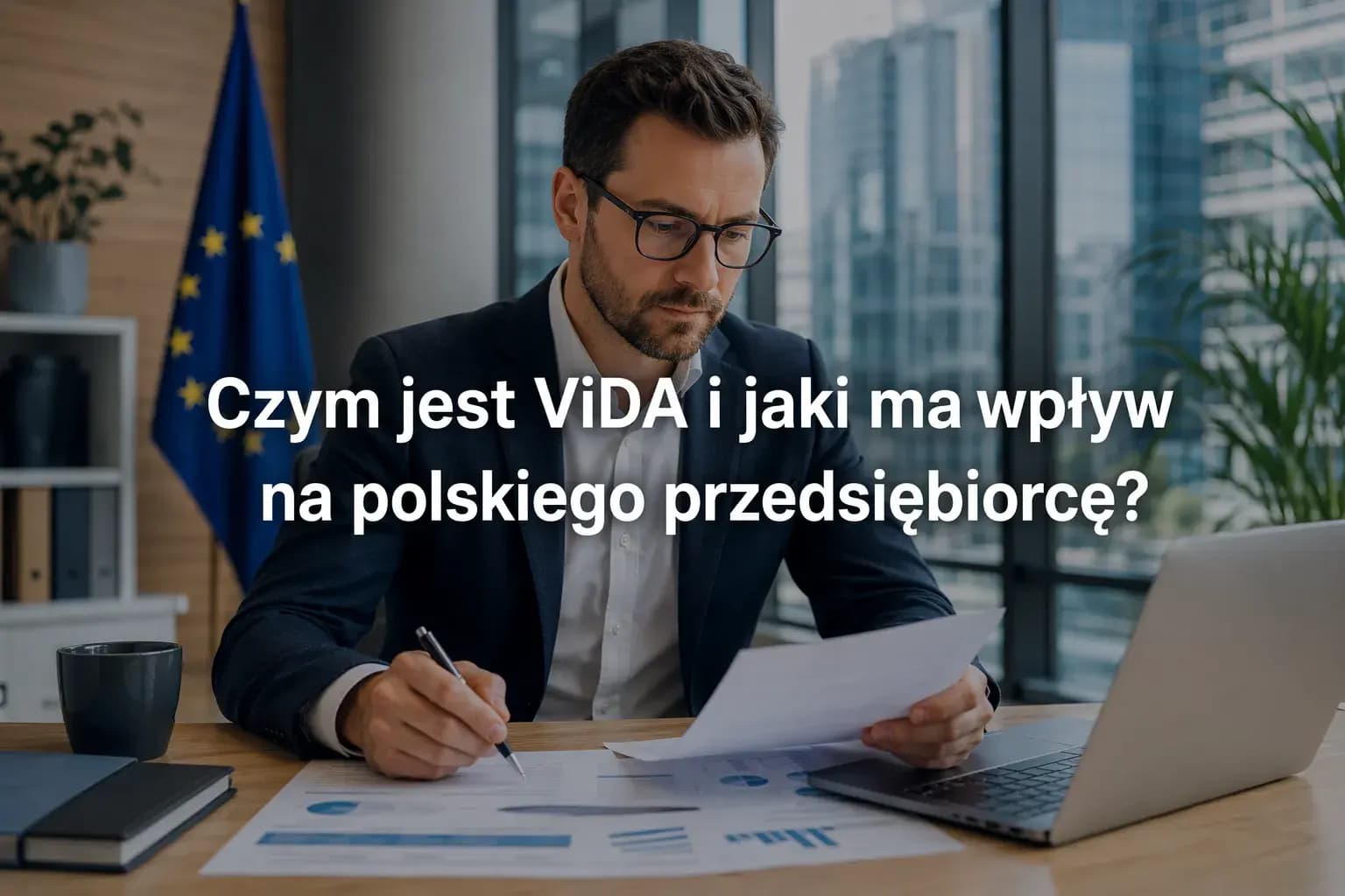 Was ist ViDA und wie wirkt es sich auf polnische Unternehmen aus?